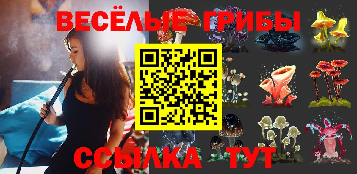 Псилоцибиновые грибы Psilocybe Благодарный