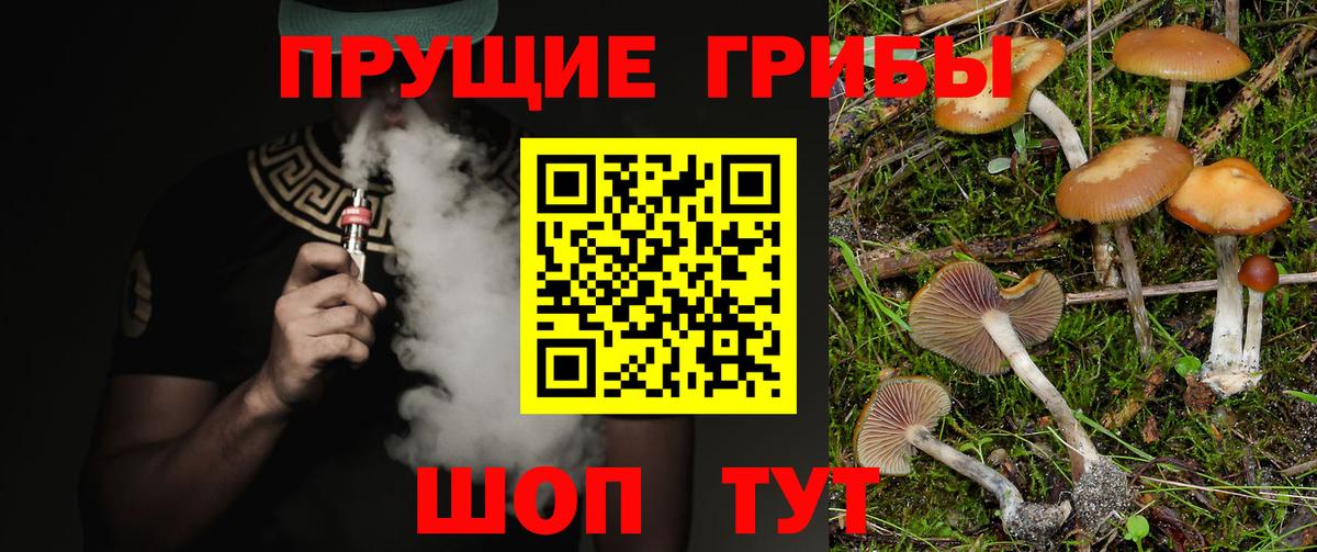Псилоцибиновые грибы ЛСД  Вход с VPN  Благодарный  Галлюциногенные грибы Psilocybine cubensis 